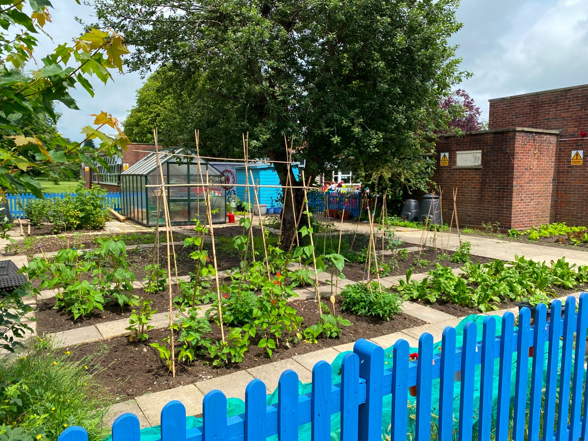 Gardening area 